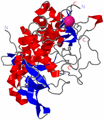 Image Asym./Biol. Unit