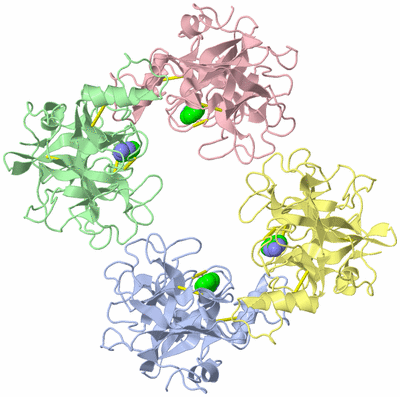 Image Asym./Biol. Unit