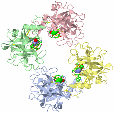 Image Asym./Biol. Unit - sites