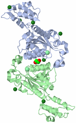 Image Asym./Biol. Unit