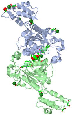 Image Asym./Biol. Unit - sites