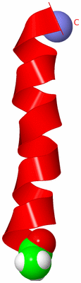 Image NMR Structure - model 1