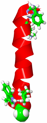 Image NMR Structure - model 1, sites