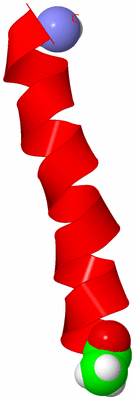 Image NMR Structure - model 1