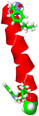 Image NMR Structure - model 1, sites