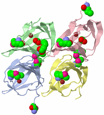 Image Biological Unit 3