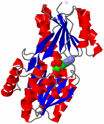 Image Asym./Biol. Unit