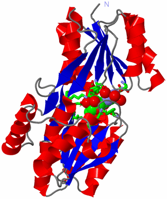 Image Asym./Biol. Unit - sites