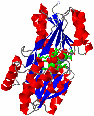 Image Asym./Biol. Unit - sites