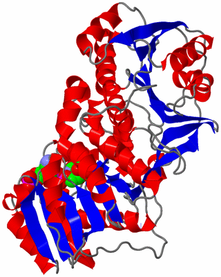 Image Asym./Biol. Unit