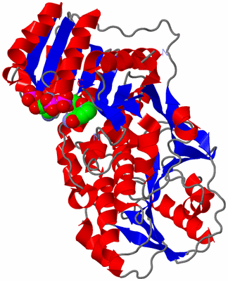 Image Asym./Biol. Unit