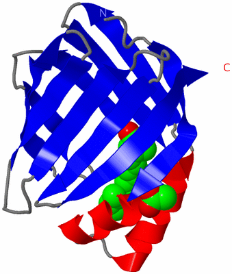 Image Asym./Biol. Unit