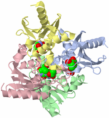 Image Biological Unit 1