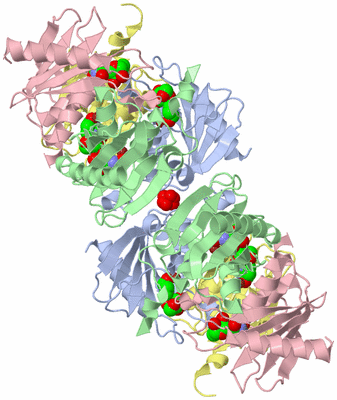 Image Biological Unit 2