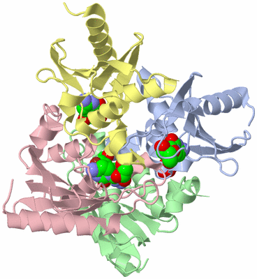 Image Biological Unit 1