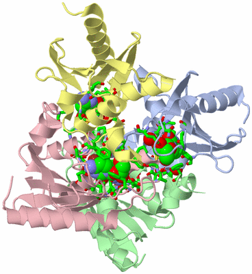 Image Biol. Unit 1 - sites