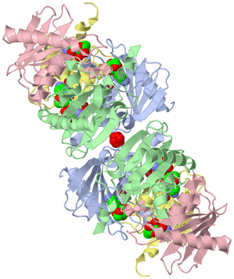 Image Biological Unit 2