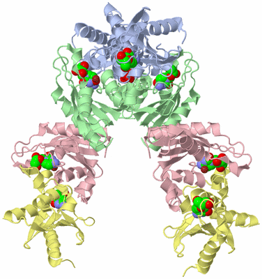 Image Biological Unit 3