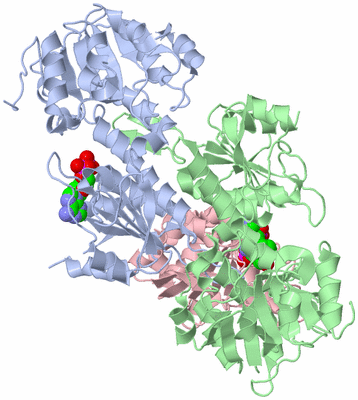 Image Asym./Biol. Unit