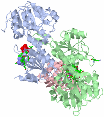 Image Asym./Biol. Unit - sites