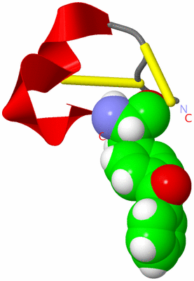 Image NMR Structure - model 1