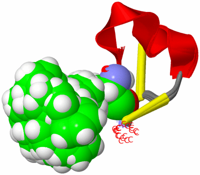 Image NMR Structure - all models