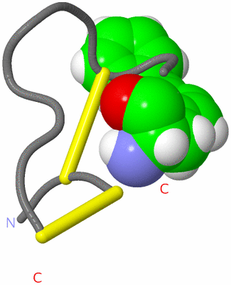 Image NMR Structure - model 1