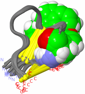 Image NMR Structure - all models