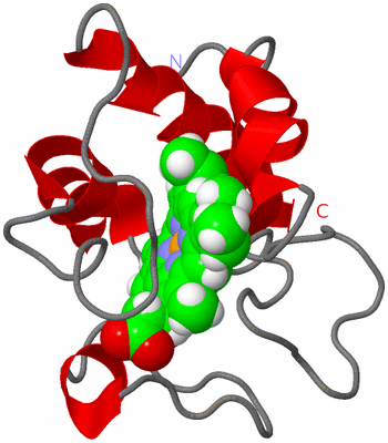 Image NMR Structure - model 1