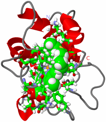 Image NMR Structure - model 1, sites