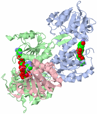 Image Asym./Biol. Unit