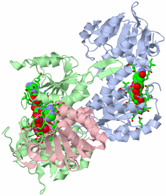 Image Asym./Biol. Unit - sites