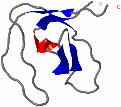 Image NMR Structure - model 1