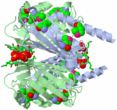 Image Biol. Unit 1 - sites