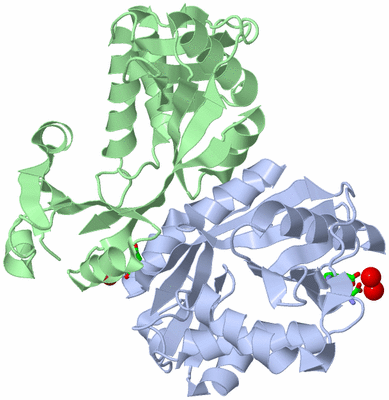 Image Asym./Biol. Unit - sites