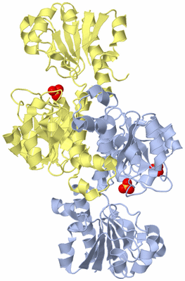 Image Biological Unit 1