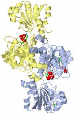 Image Biol. Unit 1 - sites