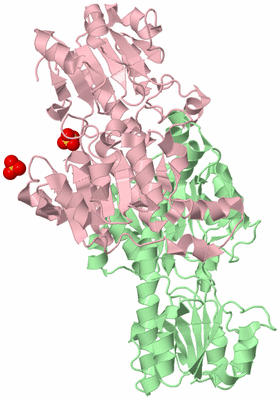 Image Biological Unit 2