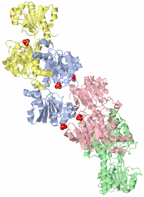 Image Biological Unit 3