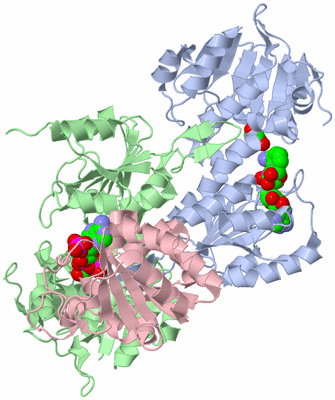 Image Asym./Biol. Unit