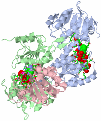 Image Asym./Biol. Unit - sites