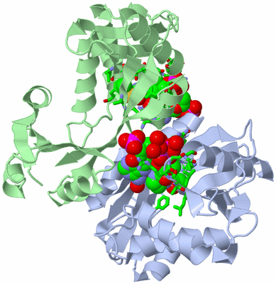 Image Asym./Biol. Unit - sites