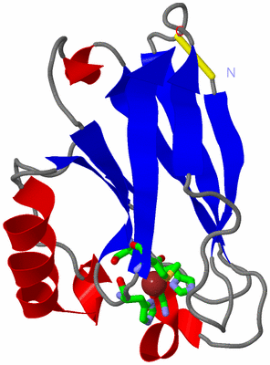 Image Asym./Biol. Unit - sites