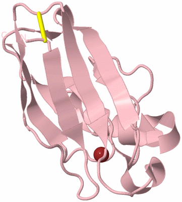 Image Biological Unit 3