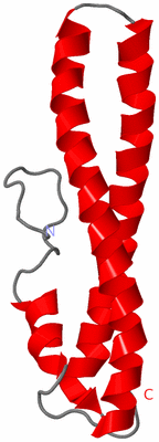 Image NMR Structure - model 1