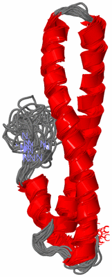 Image NMR Structure - all models