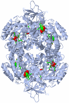 Image Biol. Unit 1 - sites