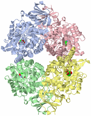 Image Asym./Biol. Unit