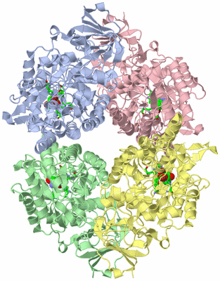 Image Asym./Biol. Unit - sites