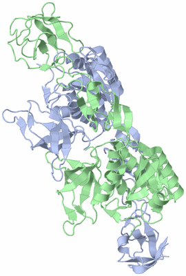 Image Asym./Biol. Unit